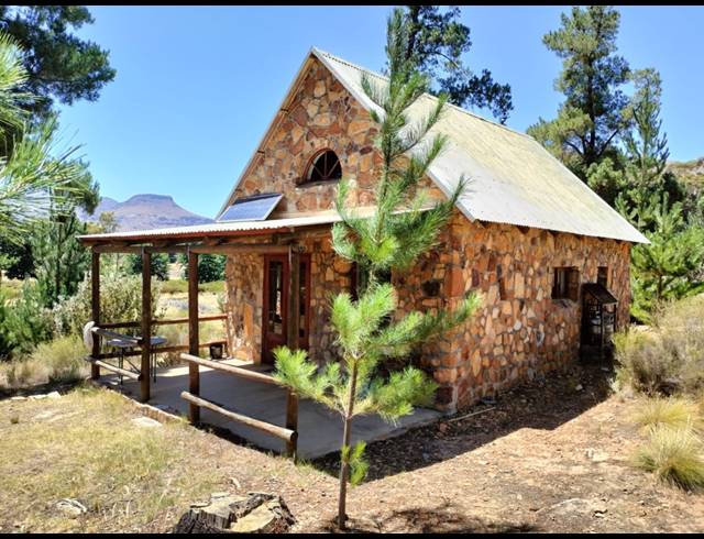 86HA FARM FOR SALE IN CERES RURAL